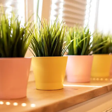 Greuthof Prázdninový dům